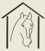 Logo cheval au box