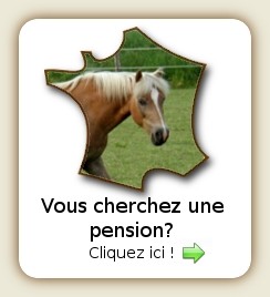 Consulter les pensions pour chevaux